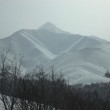 お知らせ日程変更 (BC3月企画) 3/16-19 : 北海道 利尻岳 お知らせ日程変更 (BC3月企画) 3/16-19 : 北海道 利尻岳