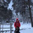 2019/01/05 層雲峡アイス 銀河の滝 2019/01/05 層雲峡アイス 銀河の滝